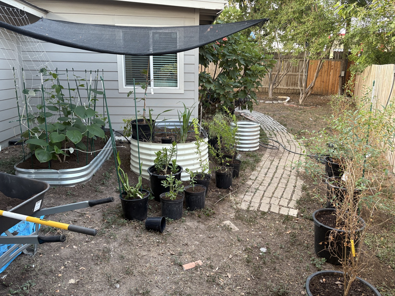 The herb garden and raised beds, professional equipment