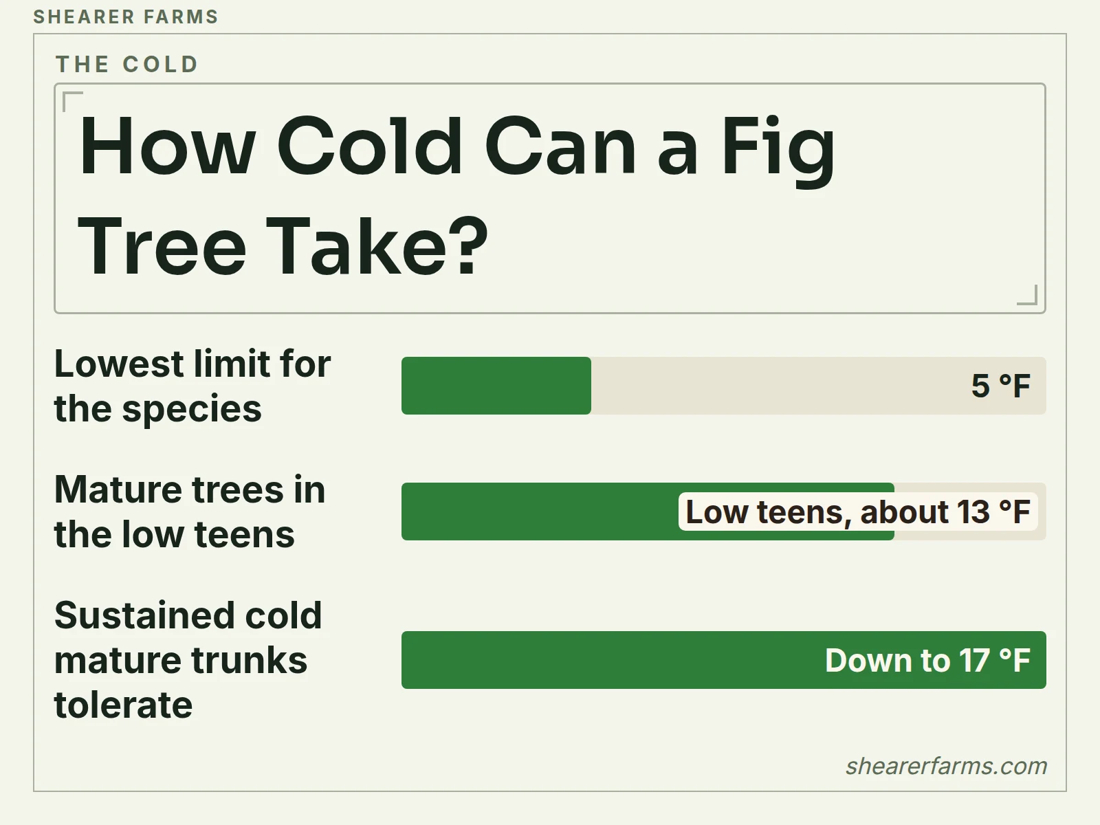A bar chart of the cold limits for fig trees in degrees Fahrenheit, from the species limit to what mature trunks tolerate