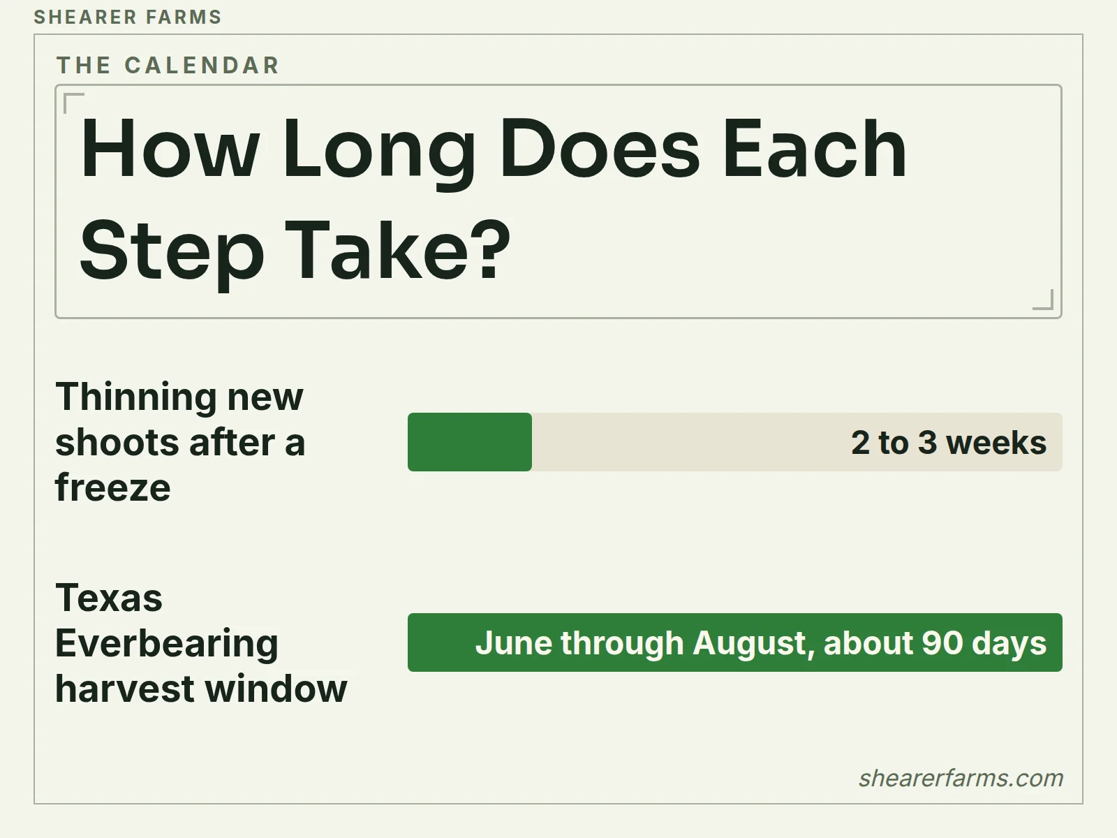 A bar chart in days of how long shoot thinning takes after a freeze and how long the Texas Everbearing harvest lasts