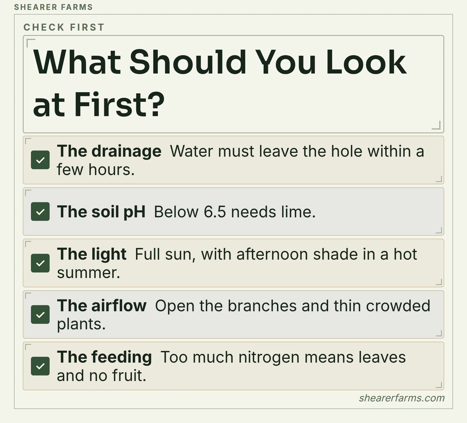 A checklist of five things to check when a goji plant struggles
