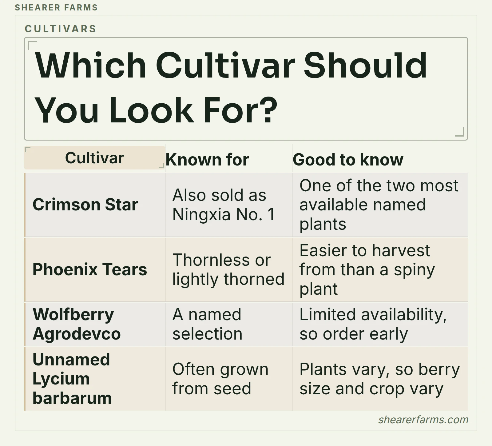 A table of goji cultivars: Crimson Star, Phoenix Tears, Wolfberry Agrodevco and unnamed seedling plants