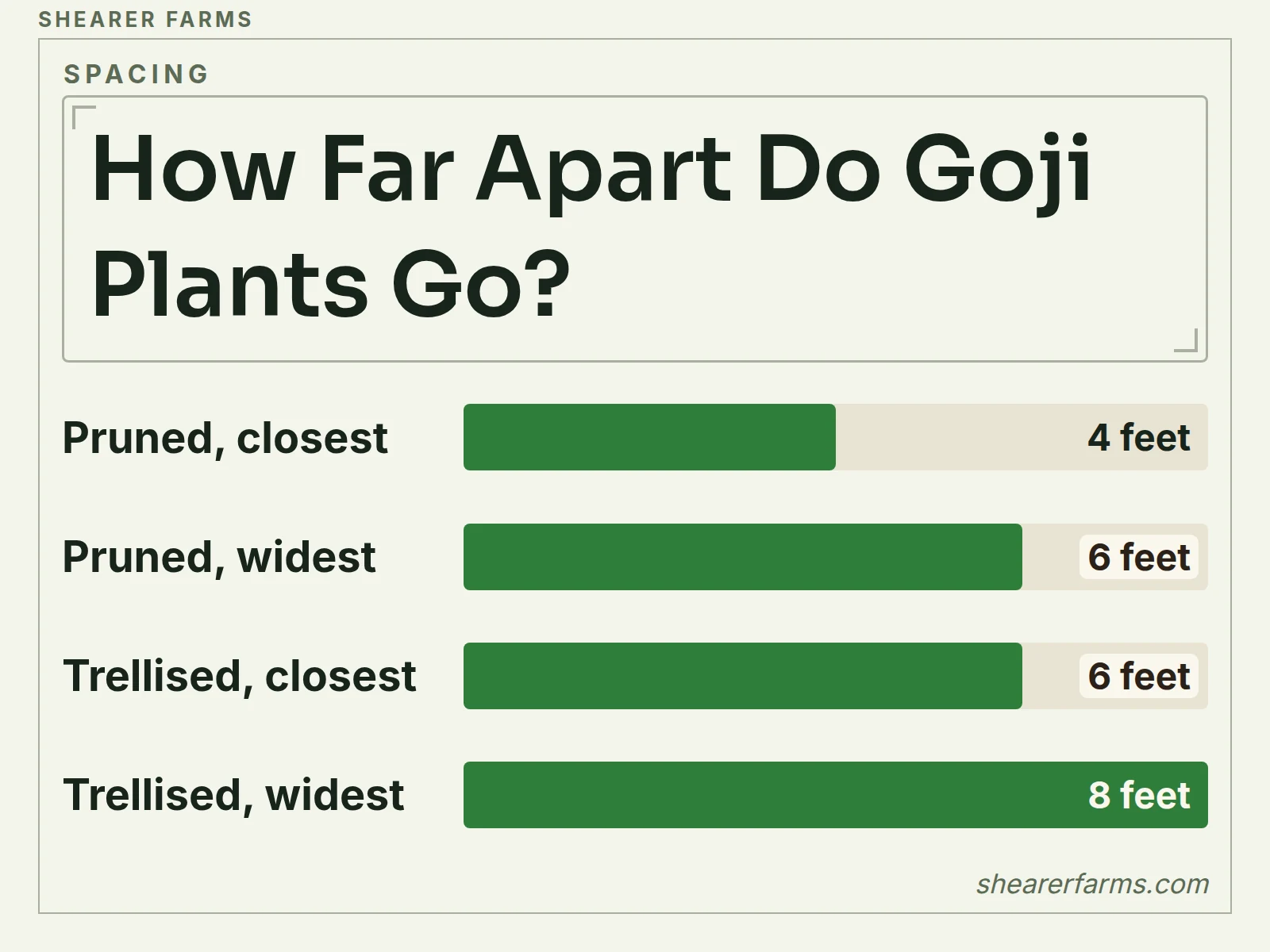 A bar chart in feet of goji plant spacing: 4 to 6 feet for pruned shrubs and 6 to 8 feet for trellised plants