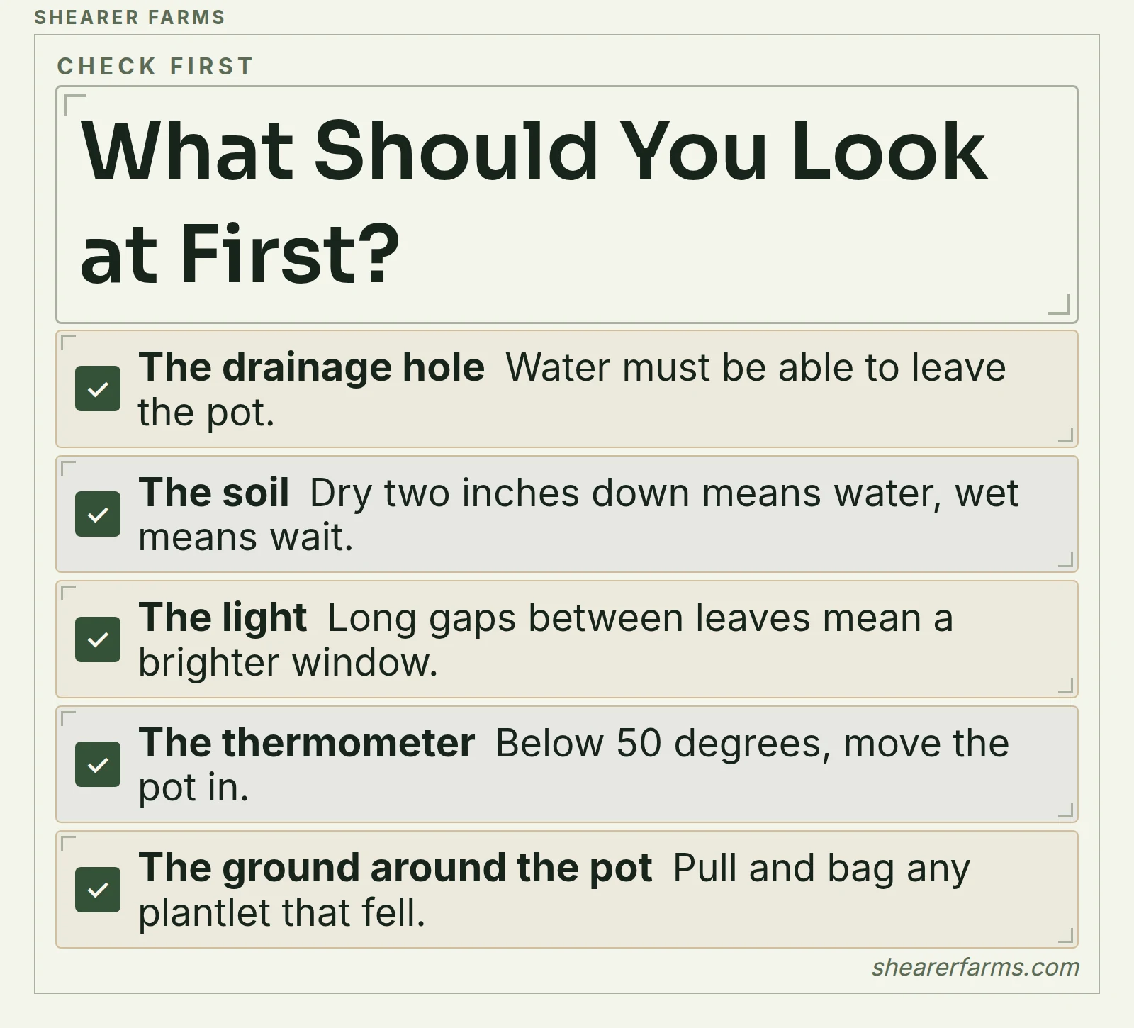 A checklist of five things to check when leaf of life struggles