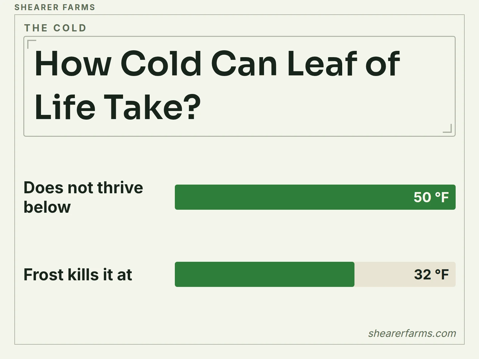 A bar chart of the cold limits for leaf of life in degrees Fahrenheit: it stops thriving below 50 and frost kills it