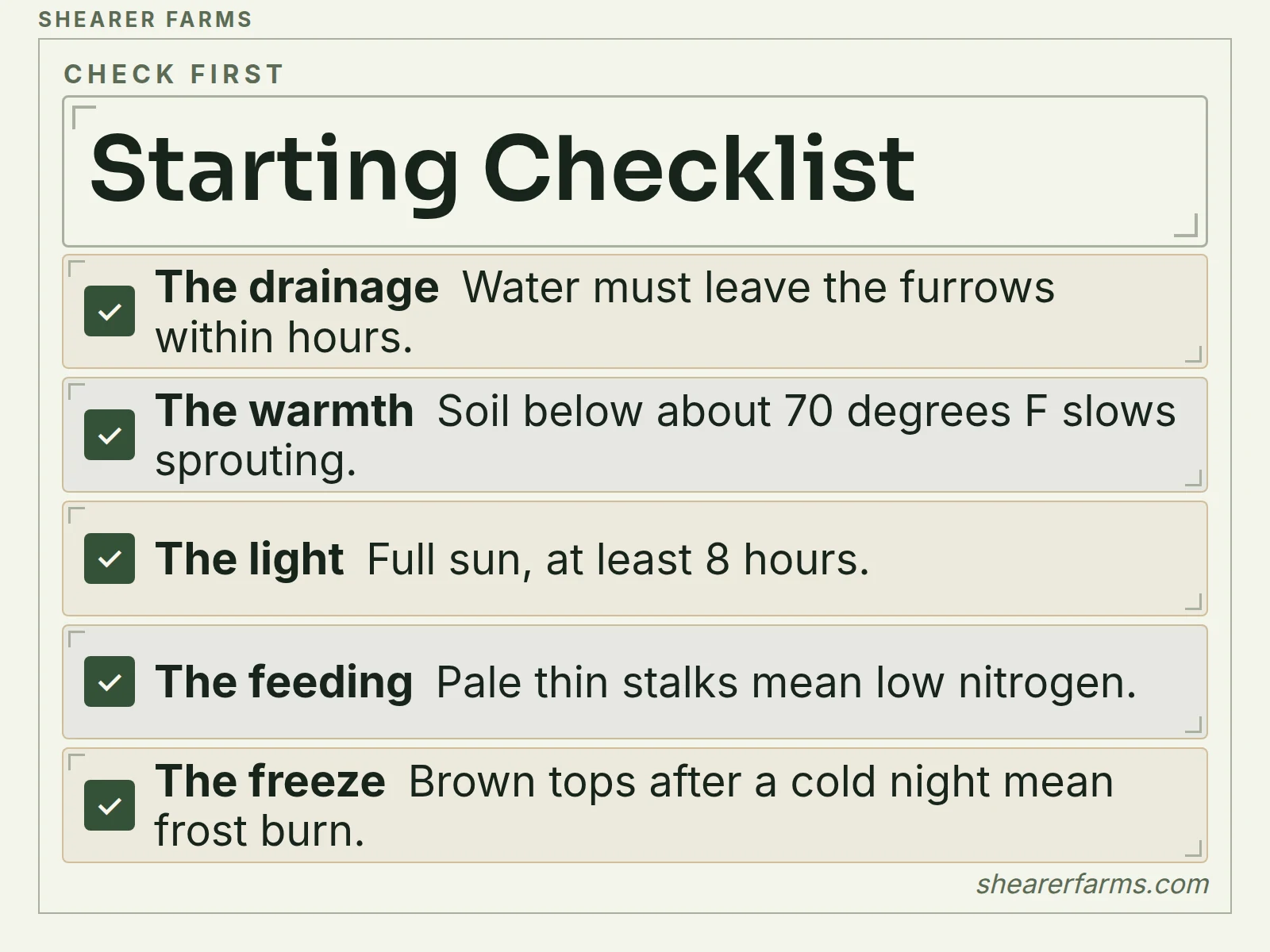 A checklist of five things to check when sugar cane struggles