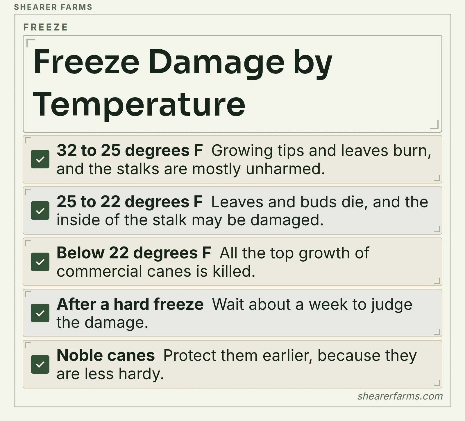 A checklist of what three freeze temperature bands do to sugar cane, and what to do after a hard freeze