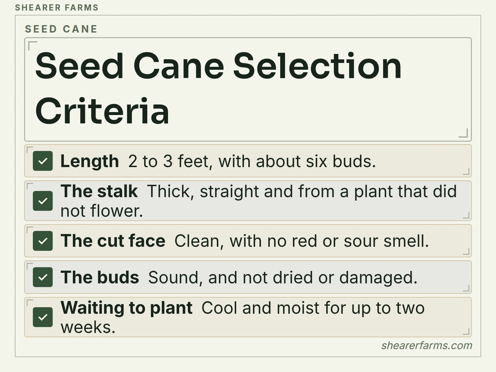 A checklist of five signs of a good sugar cane planting piece