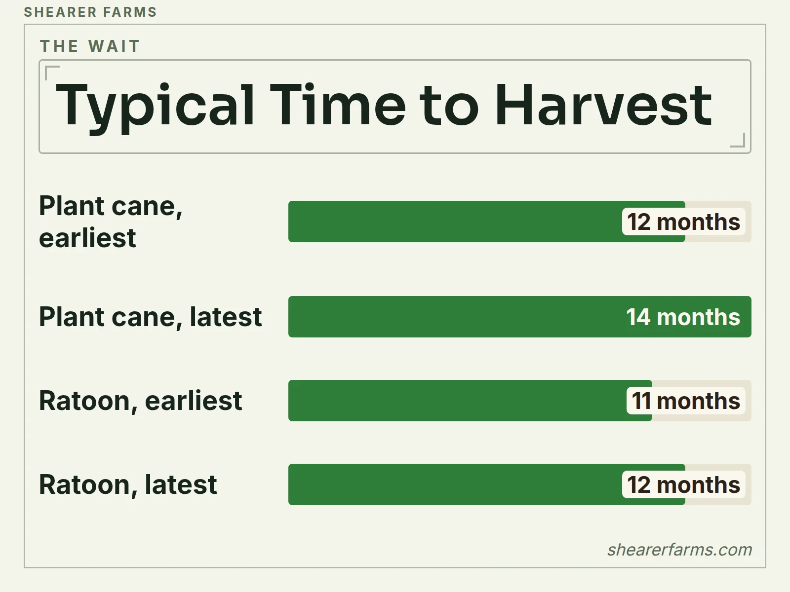 A bar chart of months until a sugar cane harvest: 12 to 14 months for plant cane and 11 to 12 months for a ratoon